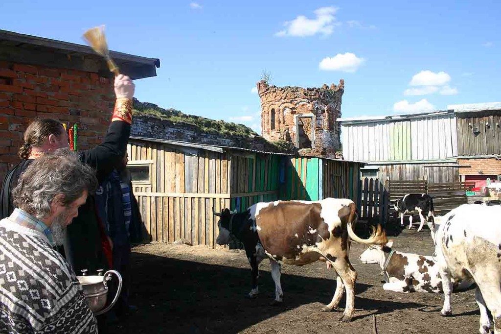 Скотный двор.